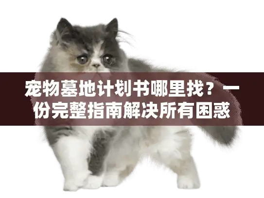 宠物墓地计划书哪里找？一份完整指南解决所有困惑
