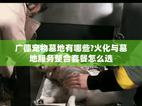 广德宠物墓地有哪些?火化与墓地服务整合套餐怎么选