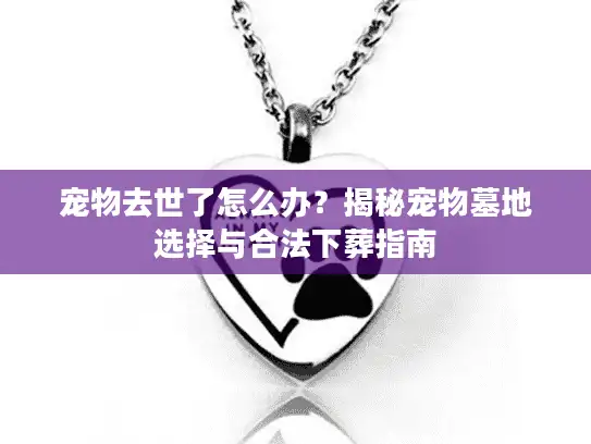 宠物去世了怎么办？揭秘宠物墓地选择与合法下葬指南
