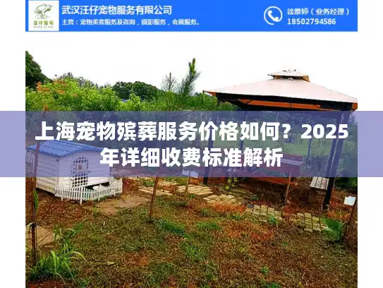上海宠物殡葬服务价格如何？2025年详细收费标准解析