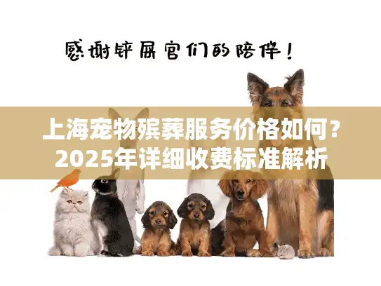 上海宠物殡葬服务价格如何？2025年详细收费标准解析