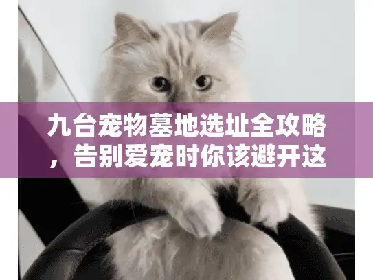九台宠物墓地选址全攻略，告别爱宠时你该避开这3个坑