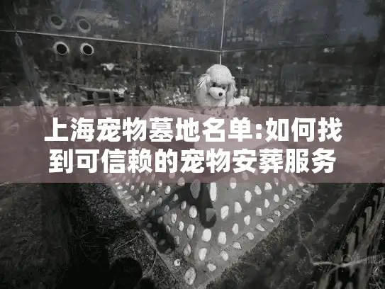 上海宠物墓地名单:如何找到可信赖的宠物安葬服务?