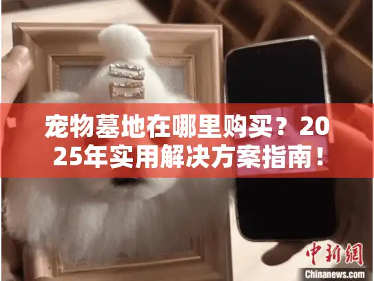 宠物墓地在哪里购买？2025年实用解决方案指南！