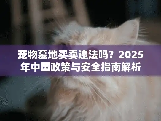 宠物墓地买卖违法吗？2025年中国政策与安全指南解析