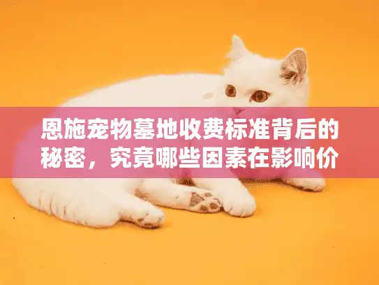 恩施宠物墓地收费标准背后的秘密，究竟哪些因素在影响价格？