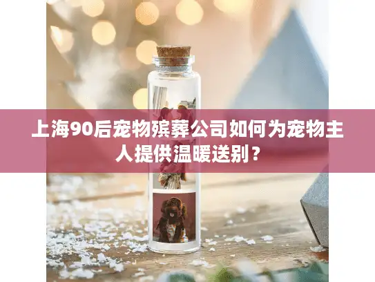 上海90后宠物殡葬公司如何为宠物主人提供温暖送别？