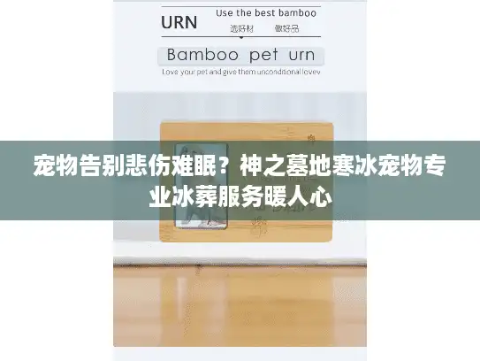 宠物告别悲伤难眠？神之墓地寒冰宠物专业冰葬服务暖人心