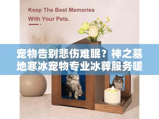 宠物告别悲伤难眠？神之墓地寒冰宠物专业冰葬服务暖人心
