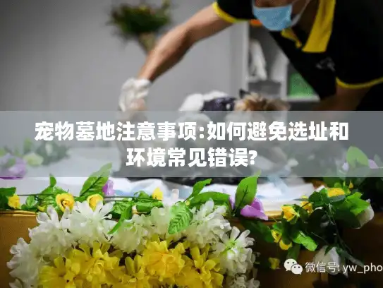 宠物墓地注意事项:如何避免选址和环境常见错误?