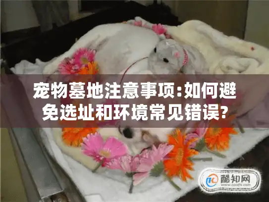 宠物墓地注意事项:如何避免选址和环境常见错误?
