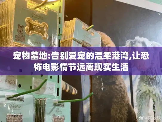 宠物墓地:告别爱宠的温柔港湾,让恐怖电影情节远离现实生活