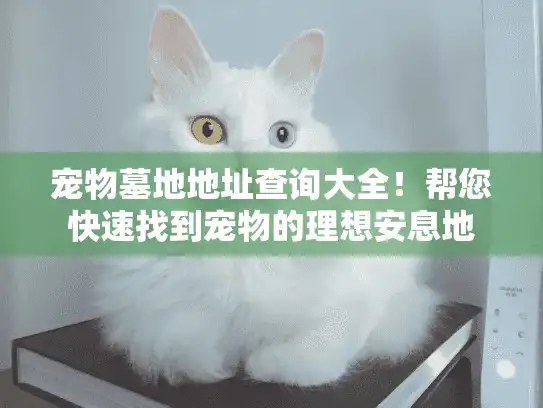 宠物墓地地址查询大全！帮您快速找到宠物的理想安息地