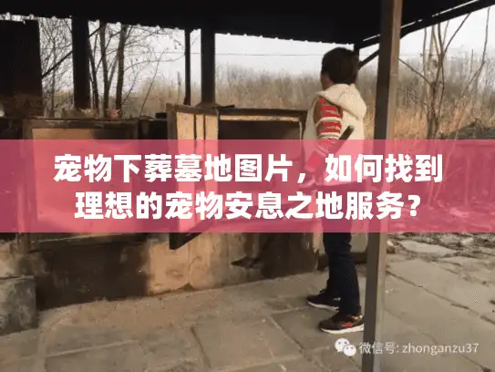 宠物下葬墓地图片，如何找到理想的宠物安息之地服务？