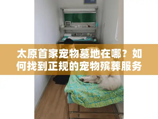 太原首家宠物墓地在哪？如何找到正规的宠物殡葬服务