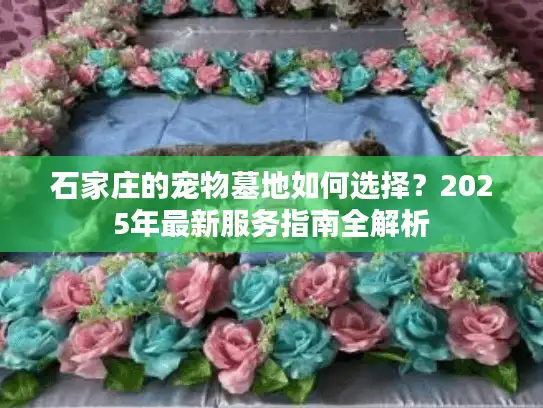 石家庄的宠物墓地如何选择？2025年最新服务指南全解析