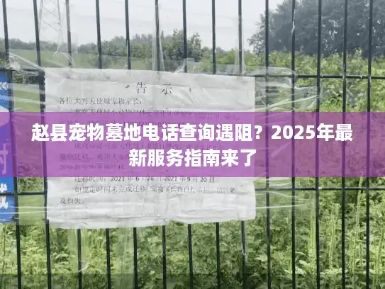 赵县宠物墓地电话查询遇阻？2025年最新服务指南来了