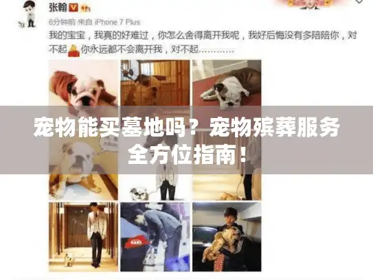 宠物能买墓地吗？宠物殡葬服务全方位指南！