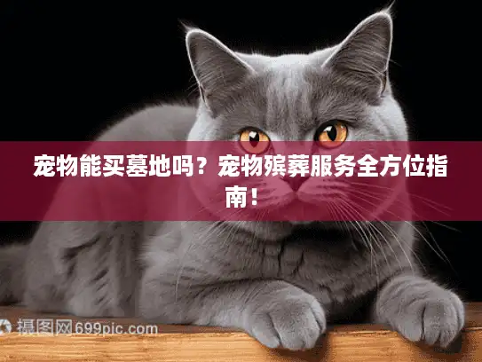 宠物能买墓地吗？宠物殡葬服务全方位指南！