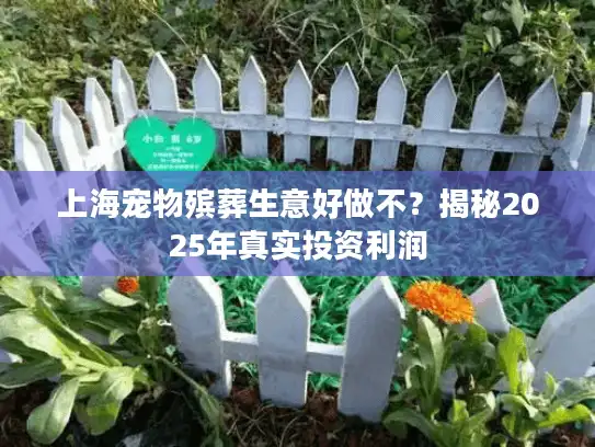 上海宠物殡葬生意好做不？揭秘2025年真实投资利润