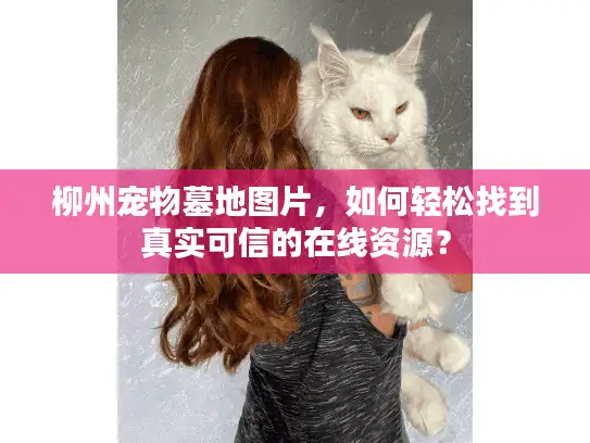 柳州宠物墓地图片，如何轻松找到真实可信的在线资源？