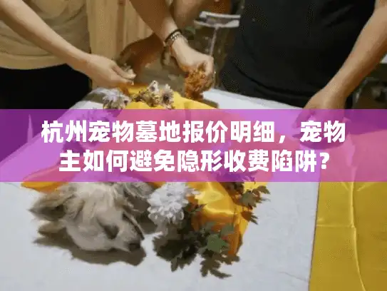 杭州宠物墓地报价明细，宠物主如何避免隐形收费陷阱？