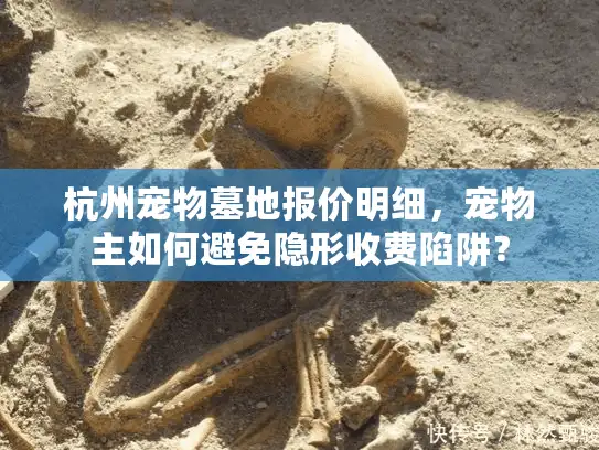 杭州宠物墓地报价明细，宠物主如何避免隐形收费陷阱？