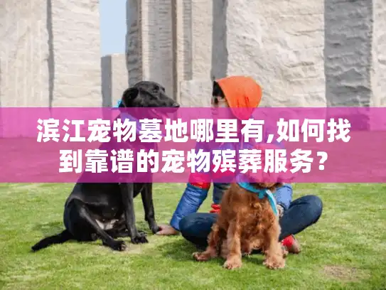 滨江宠物墓地哪里有,如何找到靠谱的宠物殡葬服务？