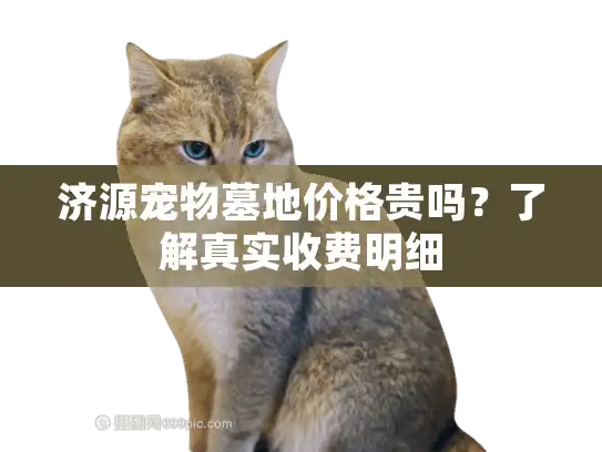 济源宠物墓地价格贵吗？了解真实收费明细