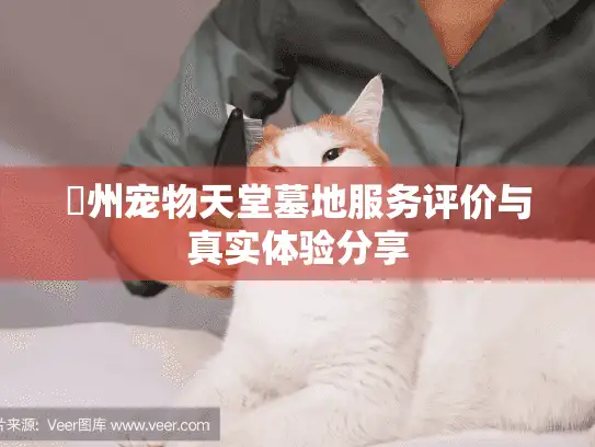 蘇州宠物天堂墓地服务评价与真实体验分享