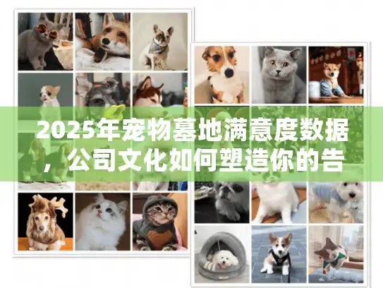 2025年宠物墓地满意度数据，公司文化如何塑造你的告别体验？