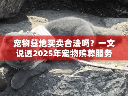 宠物墓地买卖合法吗？一文说透2025年宠物殡葬服务政策要点