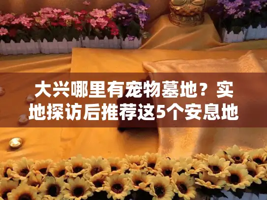 大兴哪里有宠物墓地？实地探访后推荐这5个安息地