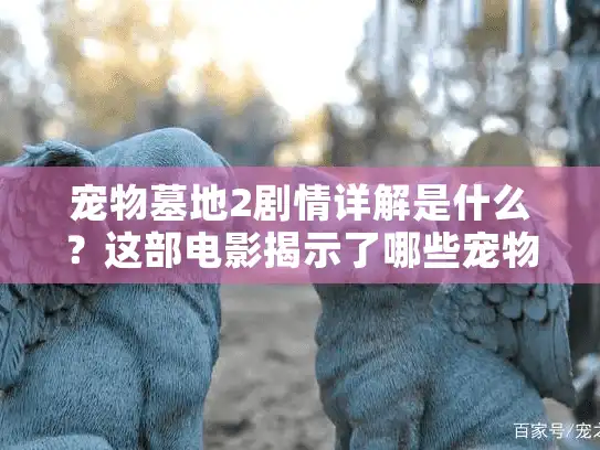 宠物墓地2剧情详解是什么？这部电影揭示了哪些宠物殡葬真相？
