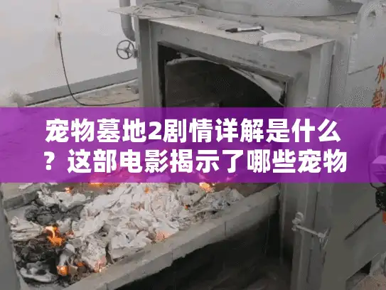 宠物墓地2剧情详解是什么？这部电影揭示了哪些宠物殡葬真相？