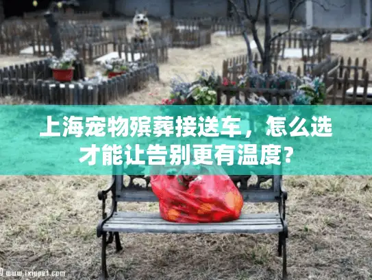 上海宠物殡葬接送车，怎么选才能让告别更有温度？