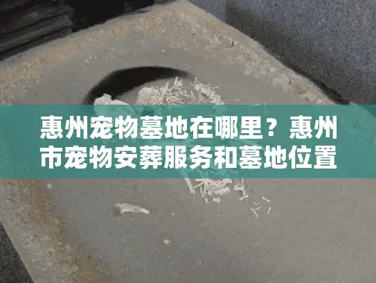 惠州宠物墓地在哪里？惠州市宠物安葬服务和墓地位置指南