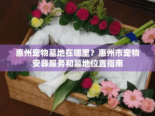 惠州宠物墓地在哪里？惠州市宠物安葬服务和墓地位置指南