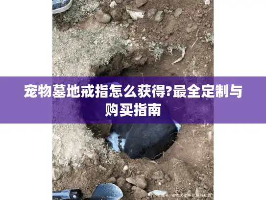 宠物墓地戒指怎么获得?最全定制与购买指南