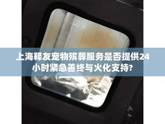 上海释友宠物殡葬服务是否提供24小时紧急善终与火化支持?