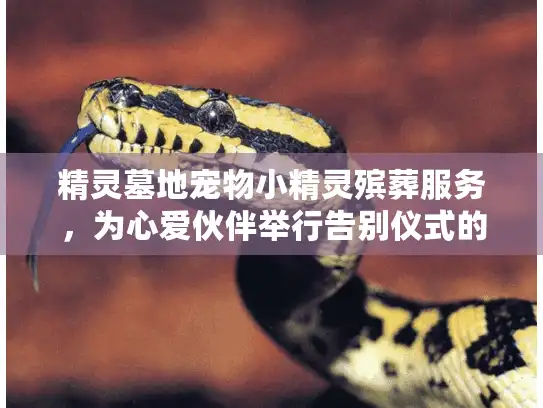 精灵墓地宠物小精灵殡葬服务，为心爱伙伴举行告别仪式的温暖指南