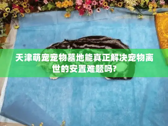 天津萌宠宠物墓地能真正解决宠物离世的安置难题吗?