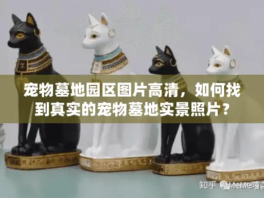 宠物墓地园区图片高清，如何找到真实的宠物墓地实景照片？