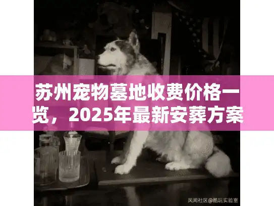 苏州宠物墓地收费价格一览，2025年最新安葬方案与避坑指南