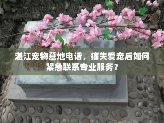 湛江宠物墓地电话，痛失爱宠后如何紧急联系专业服务？