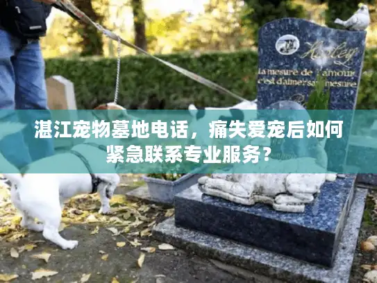 湛江宠物墓地电话，痛失爱宠后如何紧急联系专业服务？