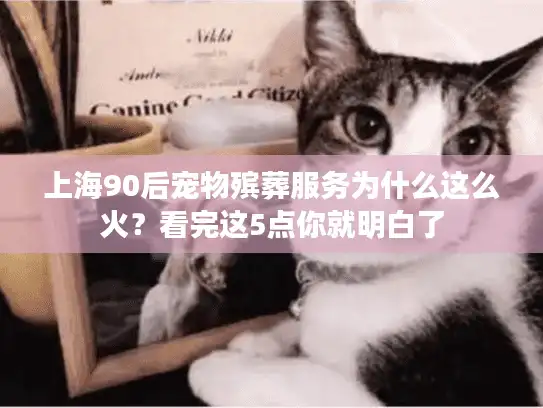 上海90后宠物殡葬服务为什么这么火？看完这5点你就明白了