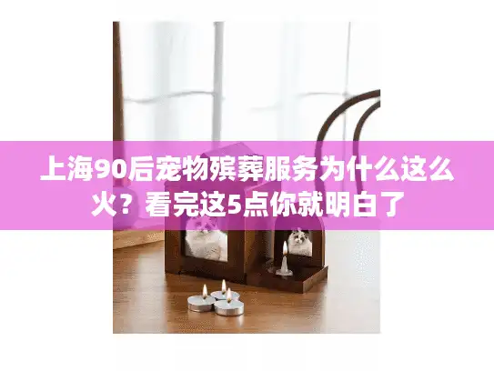 上海90后宠物殡葬服务为什么这么火？看完这5点你就明白了