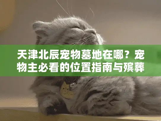 天津北辰宠物墓地在哪？宠物主必看的位置指南与殡葬服务全解析
