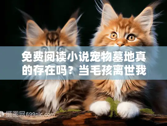 免费阅读小说宠物墓地真的存在吗？当毛孩离世我们能做什么？